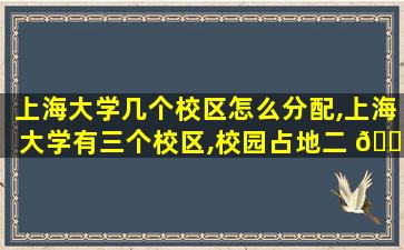 上海大学几个校区怎么分配,上海大学有三个校区,校园占地二 🕷 百余万平方米